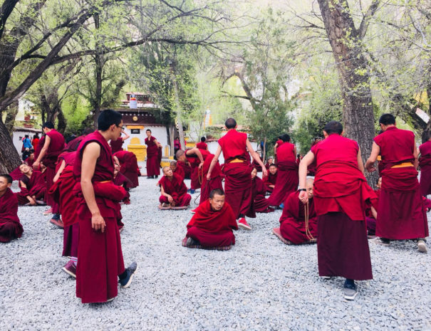 Tibet Monastere Sera