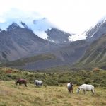 trek Sichuan