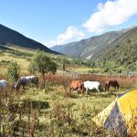 trek Sichuan